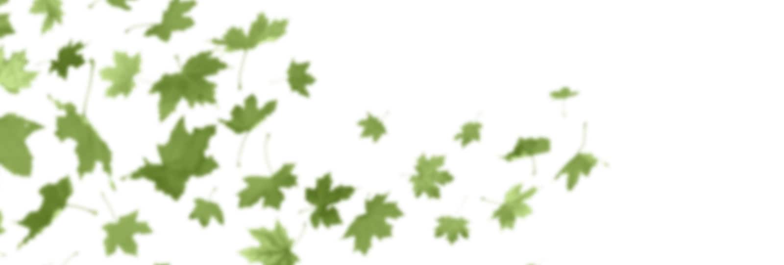 Omni Tree Service, Inc.