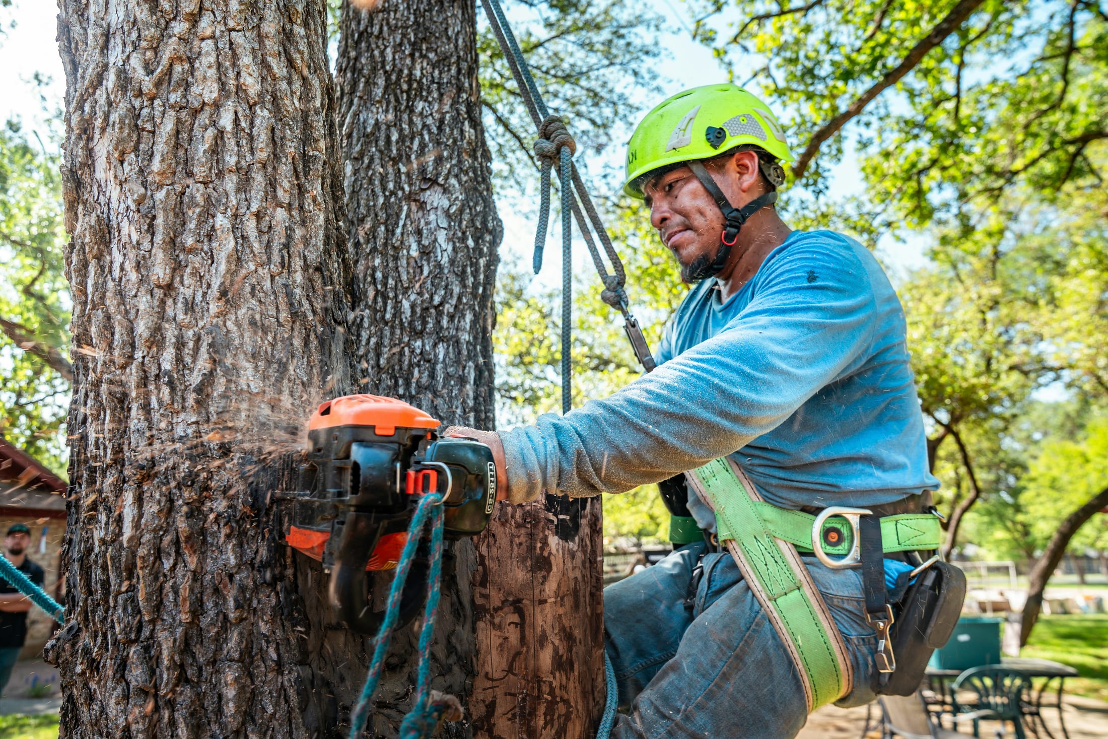 Omni Tree Service, Inc.