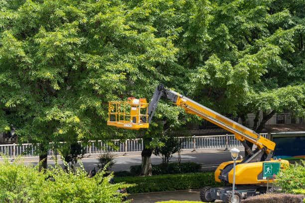 Tree Injections